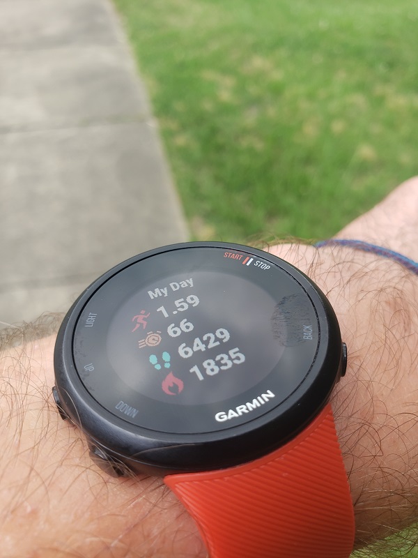 Garmin Forerunner 45 Review